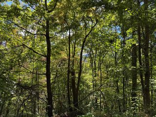 16-18 Burnt Leaf Lane, Hayesville, NC 28904