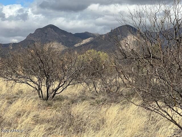 TBD S Logans Run 18, Hereford, AZ 85615