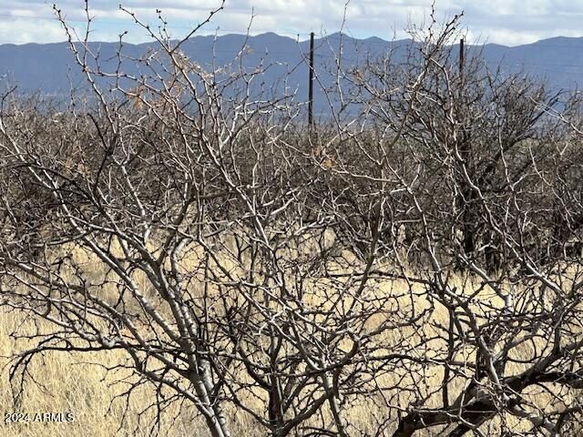 TBD S Logans Run 18, Hereford, AZ 85615