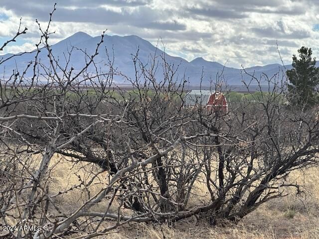 TBD S Logans Run 18, Hereford, AZ 85615