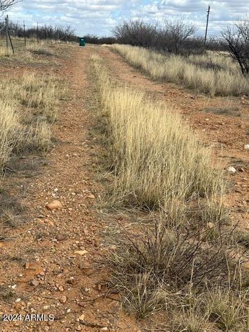 TBD S Logans Run 18, Hereford, AZ 85615