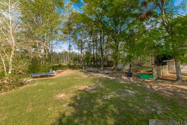 26611 Deer Ln, Holden, LA 70744
