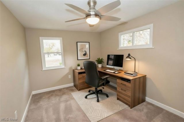 8796 Evergreen Drive 8794, Mentor, OH 44060