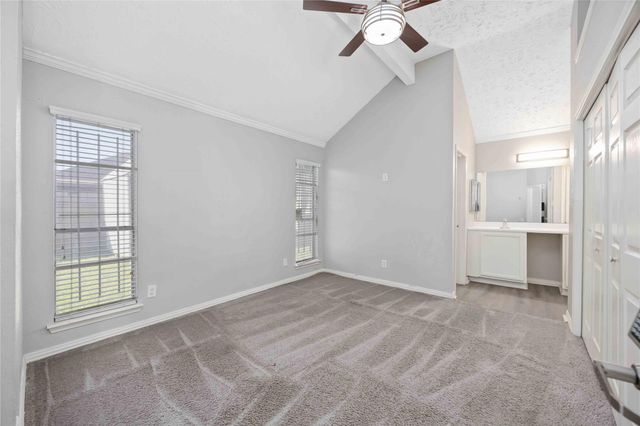 13134 Bamboo Forest Trail, Houston, TX 77044