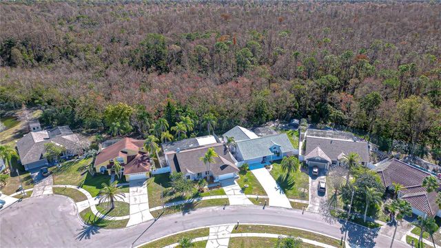 11718 SPANISH LAKE DRIVE, Tampa, FL 33635