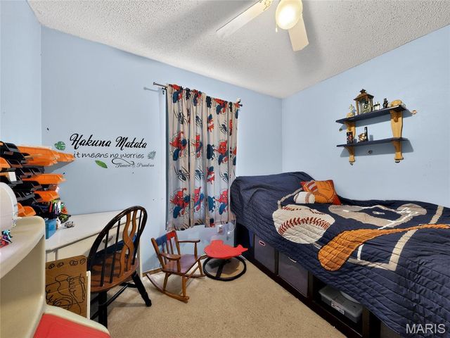 7302 Carriwood Drive, Cedar Hill, MO 63016