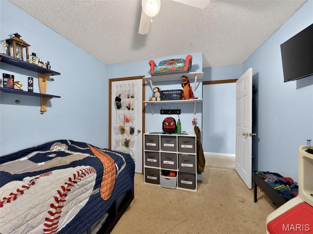 7302 Carriwood Drive, Cedar Hill, MO 63016