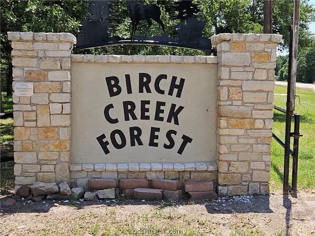 409 Birch Hill Lane, Somerville, TX 77879