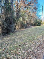 Lot 31 Winding Ln, Mount Vernon, TX 75457