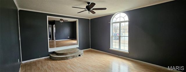 217 S Lincoln Street, East Prairie, MO 63845