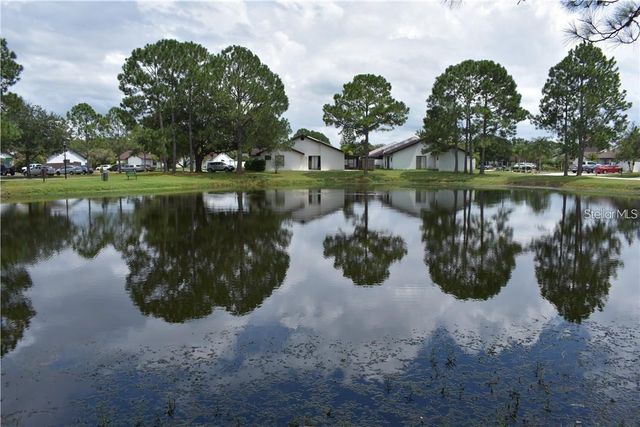 11301 DAREWOOD PLACE, Tampa, FL 33624