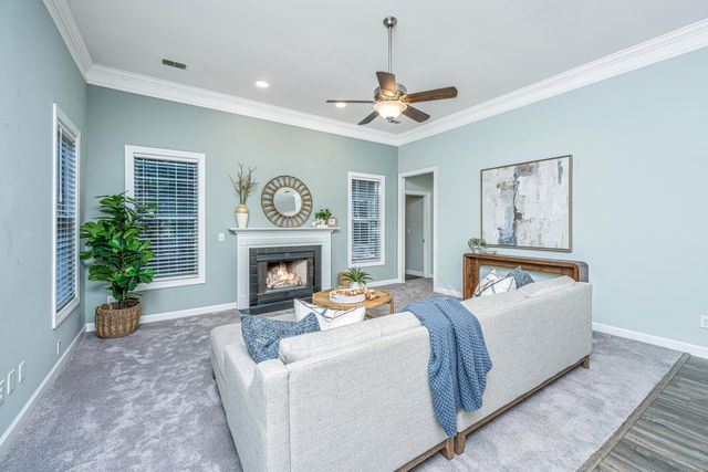 1171 Ballyliffen Drive, Mount Pleasant, SC 29466