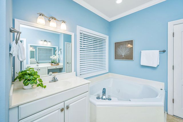 1171 Ballyliffen Drive, Mount Pleasant, SC 29466