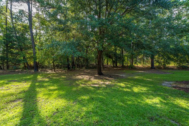 1171 Ballyliffen Drive, Mount Pleasant, SC 29466
