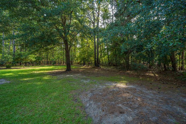 1171 Ballyliffen Drive, Mount Pleasant, SC 29466