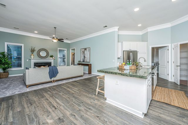 1171 Ballyliffen Drive, Mount Pleasant, SC 29466