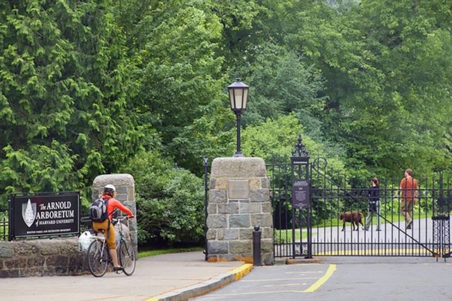 25 Custer 303, Boston, MA 02130