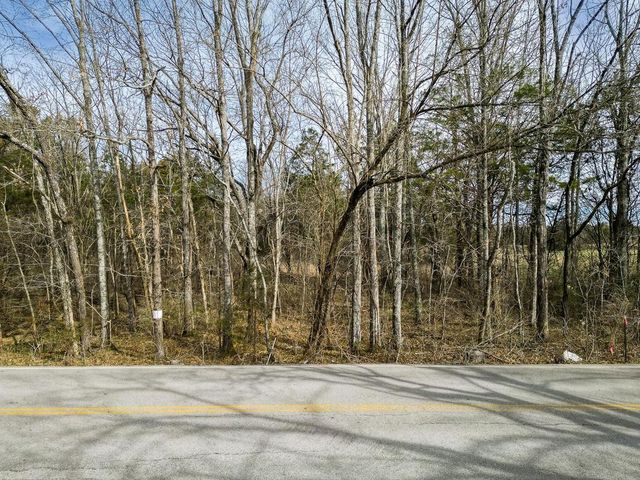 1 Rucker Road, Christiana, TN 37037