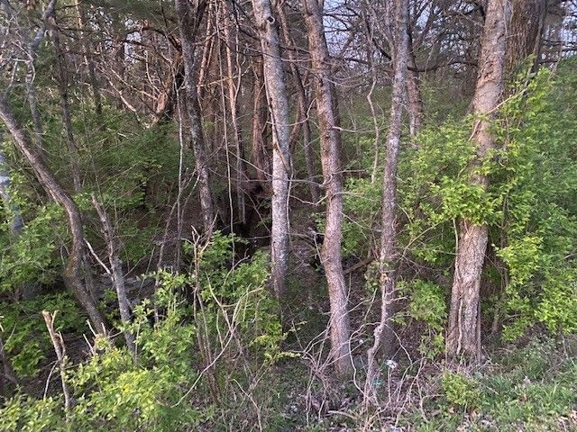 1 Rucker Road, Christiana, TN 37037