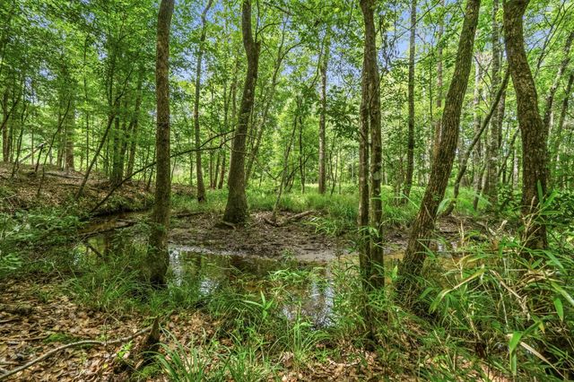 2187 Nettles Cemetery Road, Livingston, TX 77351