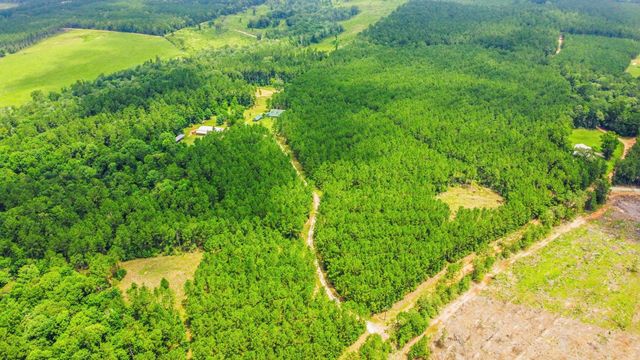 2187 Nettles Cemetery Road, Livingston, TX 77351