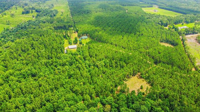 2187 Nettles Cemetery Road, Livingston, TX 77351