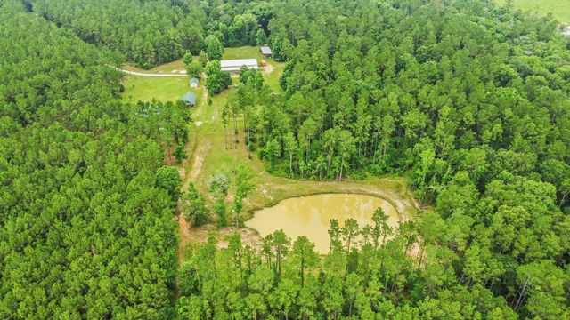 2187 Nettles Cemetery Road, Livingston, TX 77351