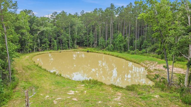 2187 Nettles Cemetery Road, Livingston, TX 77351