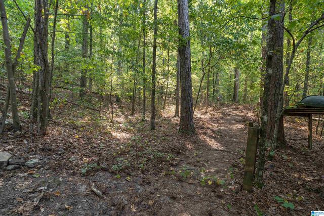 1188 FOREST LAKES WAY, Sterrett, AL 35147