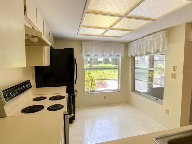 1125 MONTROSE PLACE, Dunedin, FL 34698