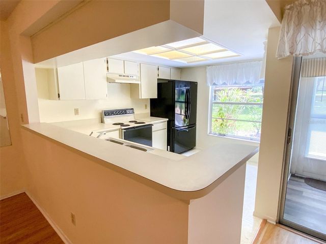 1125 MONTROSE PLACE, Dunedin, FL 34698