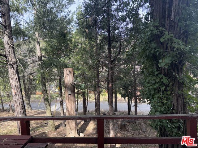 21801 Plunge Road, Cedarpines Park, CA 92322