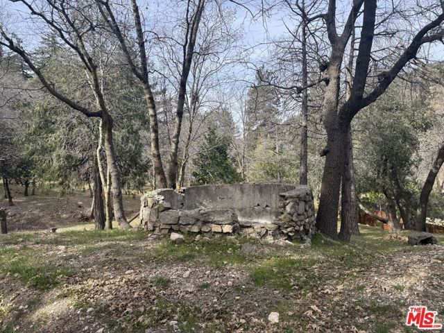 21801 Plunge Road, Cedarpines Park, CA 92322