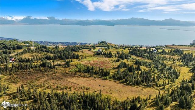 60918 Skyline Drive, Homer, AK 99603