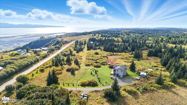 60918 Skyline Drive, Homer, AK 99603