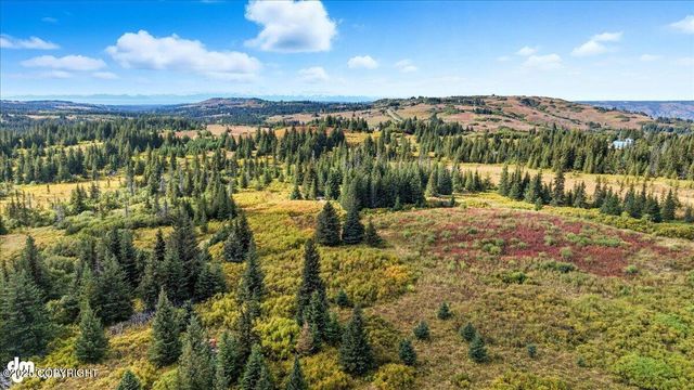 60918 Skyline Drive, Homer, AK 99603