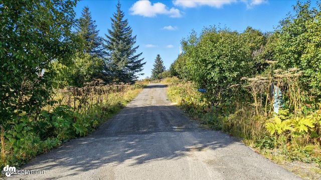 60918 Skyline Drive, Homer, AK 99603