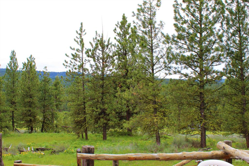 3000 Fish Lake Road, New Meadows, ID 83654 photo 37