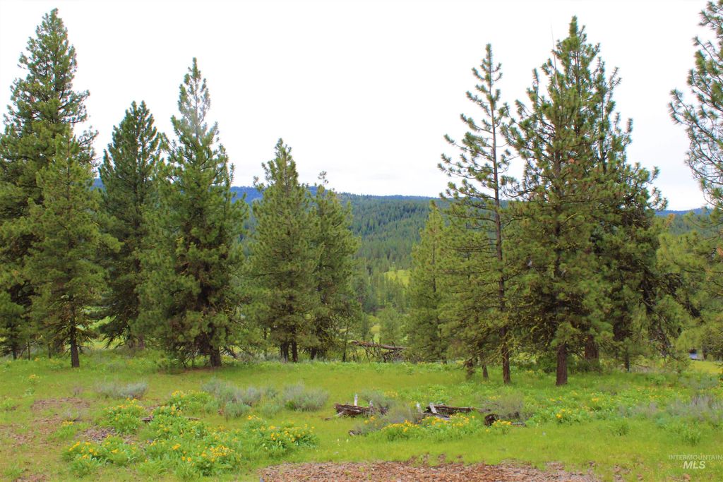 3000 Fish Lake Road, New Meadows, ID 83654 photo 43