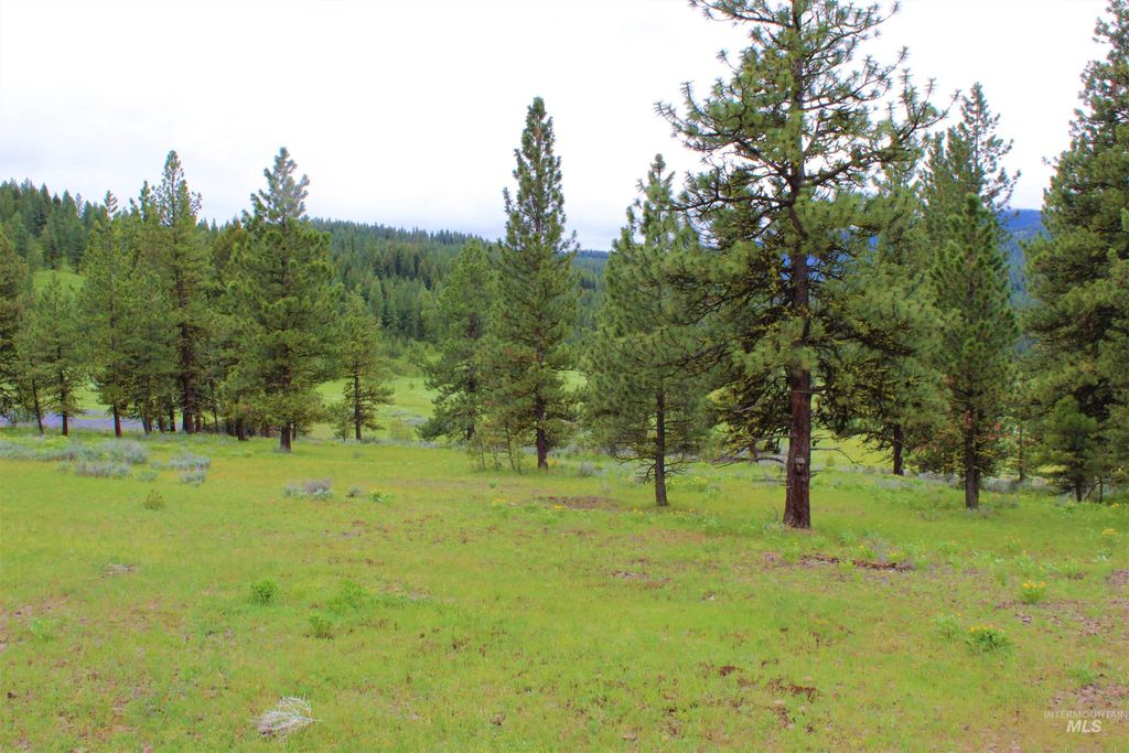 3000 Fish Lake Road, New Meadows, ID 83654 photo 7