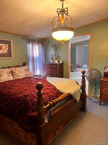 59 S Bassett Road, Elba Township, MI 48446