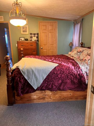 59 S Bassett Road, Elba Township, MI 48446