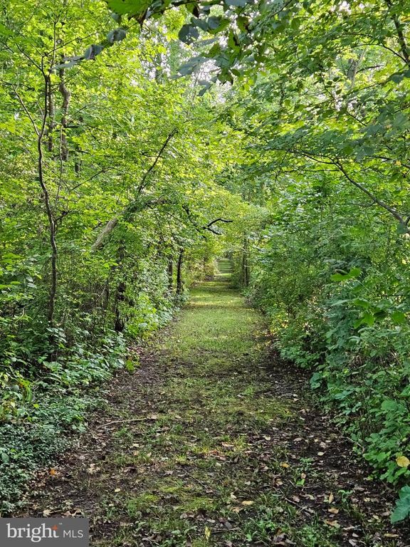 916 THOUSAND ACRE RD, SELLERSVILLE, PA 18960 — photo 2