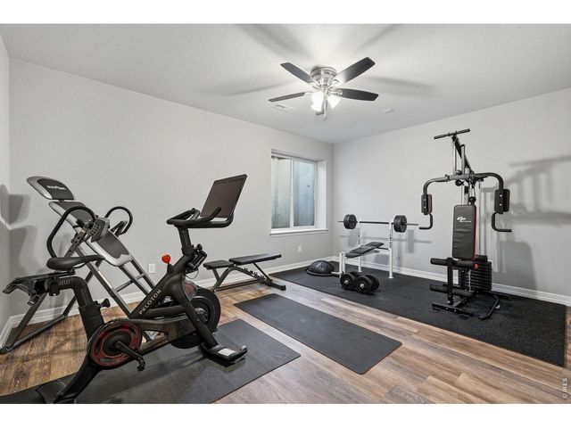 769 Pagoda Ct, Erie, CO 80516