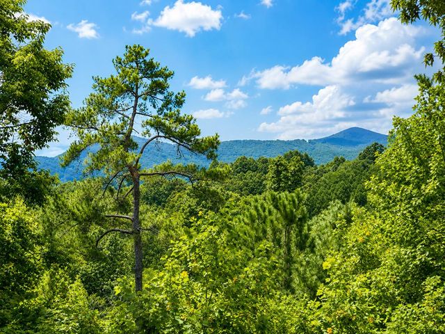 1046 Crossroads Church Road, Ellijay, GA 30540