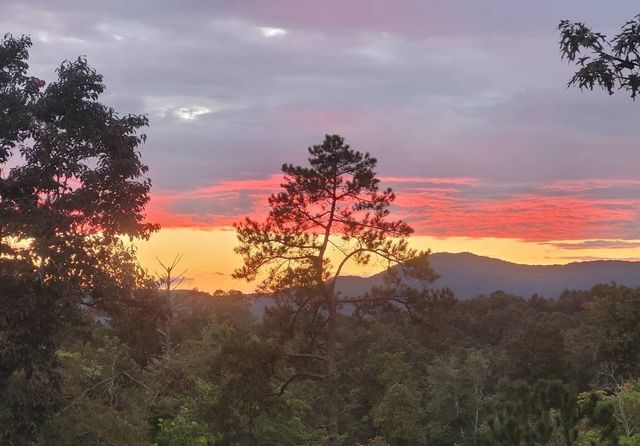 1046 Crossroads Church Road, Ellijay, GA 30540