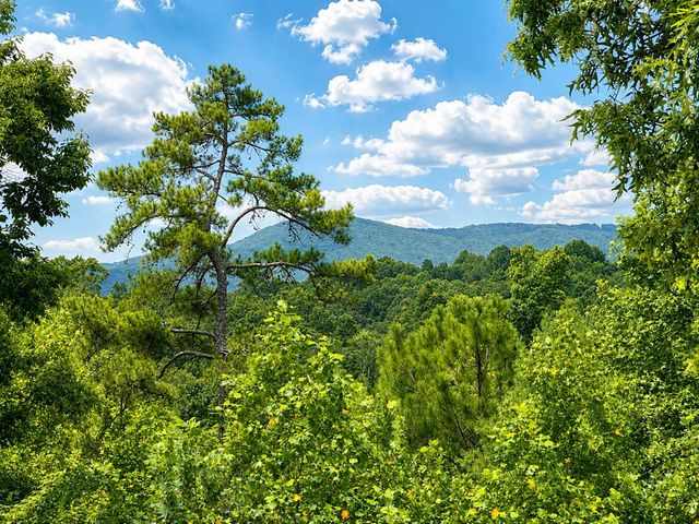 1046 Crossroads Church Road, Ellijay, GA 30540
