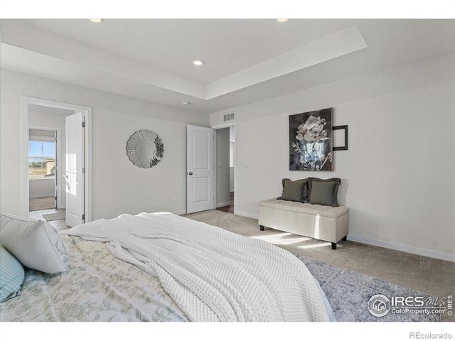 2558 Painted Turtle Avenue, Loveland, CO 80538