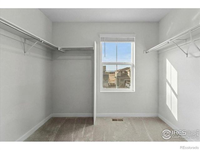 2558 Painted Turtle Avenue, Loveland, CO 80538