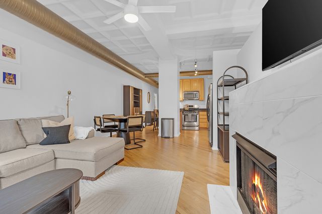 1307 S Wabash Avenue 301, Chicago, IL 60605